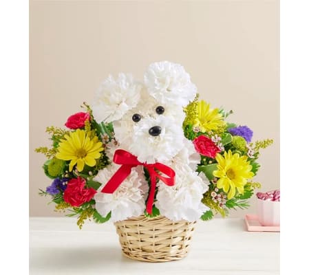 DOG-ABLE IN A BASKET