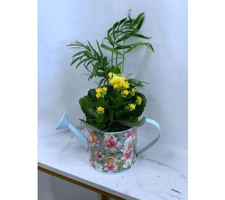 Darcy Watering Can Planter