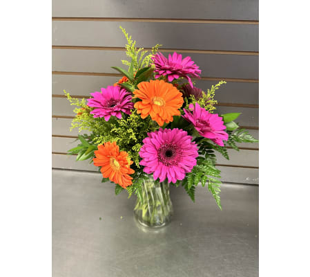 The bold and the beautiful