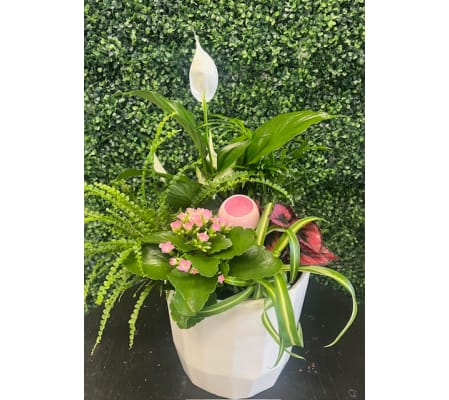 Large White/Pink Planter