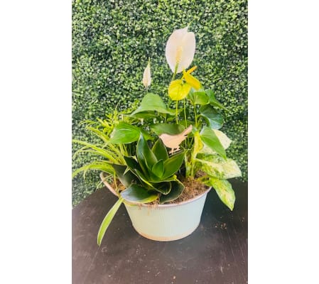 Spring into Spring Tin Planter