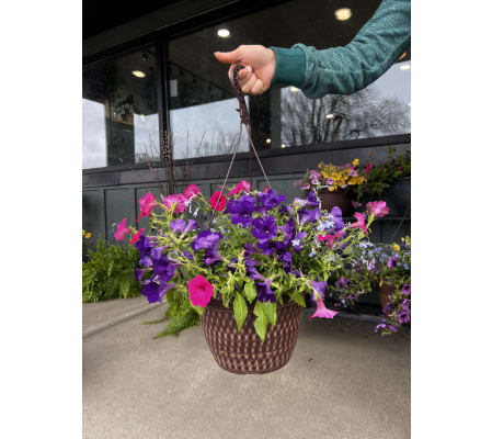 Blooming Hanging Basket