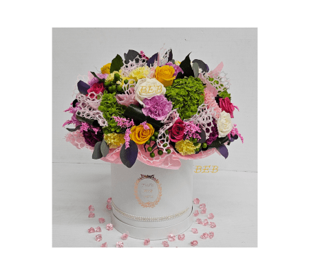 Exclusive Pastel Color Box