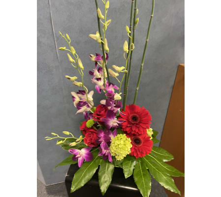 Tropical Arrangement