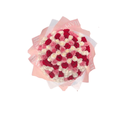 100 Red, Pink and White Roses