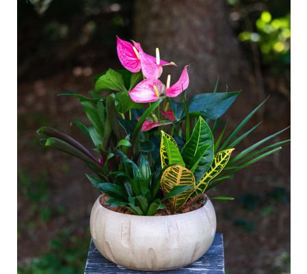 Sunset Splendor Planter