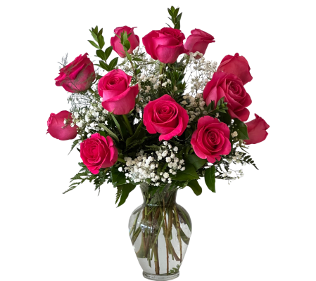 12 Classic Hot Pink Roses