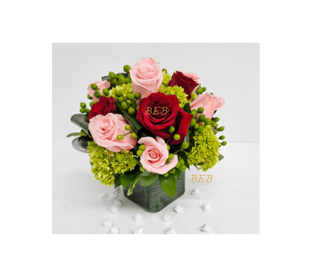 Colorful Paradise Cube