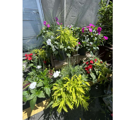 13” Patio Planter - Tall Square or Round