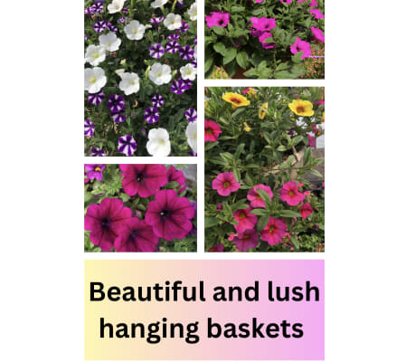 Spring Hanging Basket