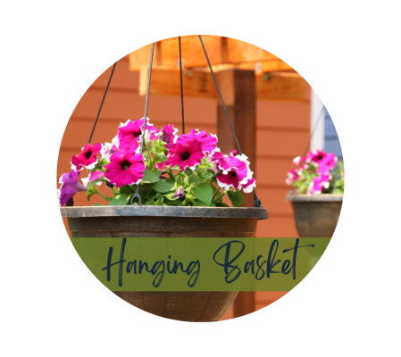 Bright & Colorful Outdoor Hanging Basket