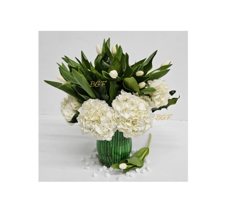 Distiguish In Whie Tulips