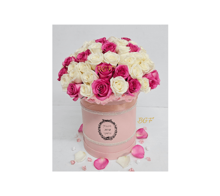 Romance in Pink and White Box