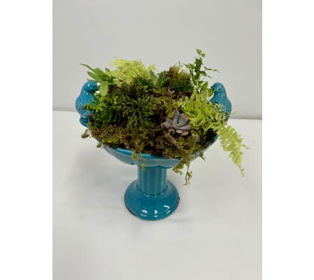 Bird Bath Succulent Garden