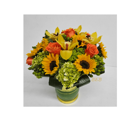 Amazing Cymbidium Rose