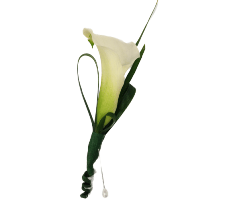 White Calla boutonnière