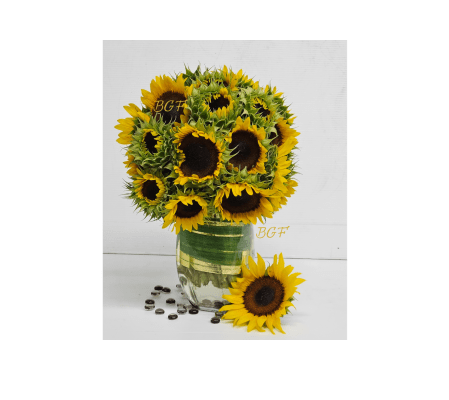 Endless Sunflowers Summer