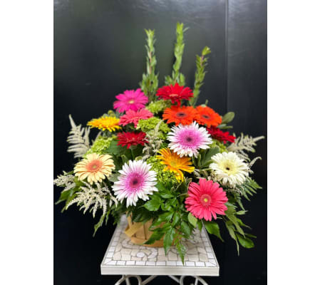 Marivel's Rainbow Radiance