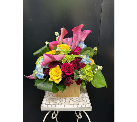 Marivel's Vivid Enchantment