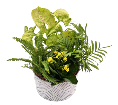 Autumn Tropical White Tin Planter