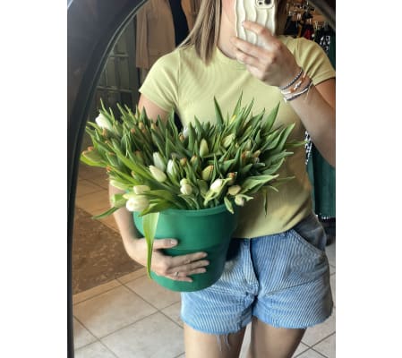 Canadian Grown Tulips