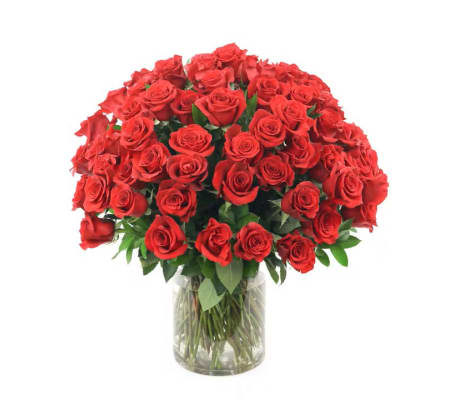 100 Premium Red Roses