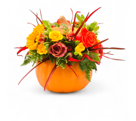 Seasonal Pumpkin