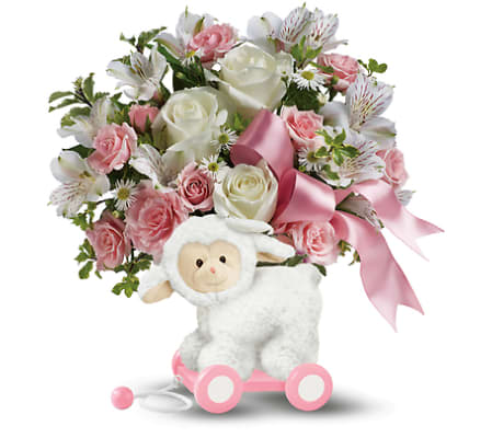 Ewe Are So Sweet - Girl