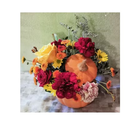 Sally's Pumpkin - Designer Choice