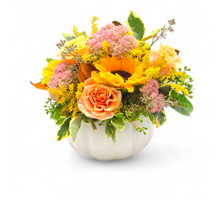 Wondrous White Pumpkin