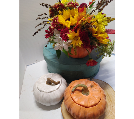 Pumpkin Planter