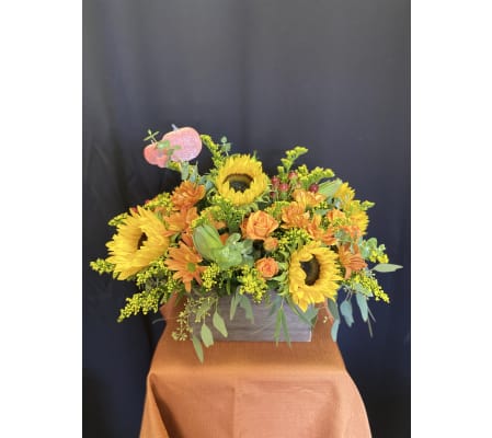 Autumn Skies and Pumpkin Pies