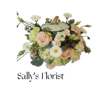 Sally's Pumpkin Elegance