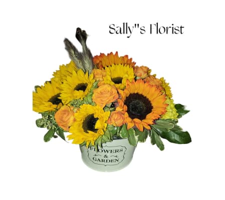 Sally's Boundless Sunflower Dream