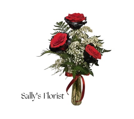 Sally's Modern Romance