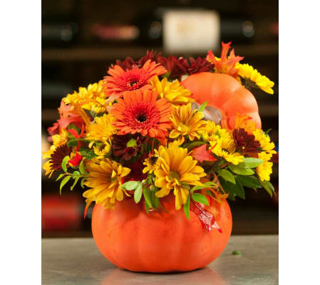 Pumkin of Autumn Flowers