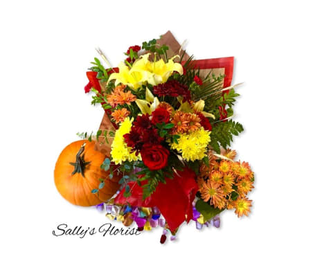 Sally's Fall Designer 4 for 1