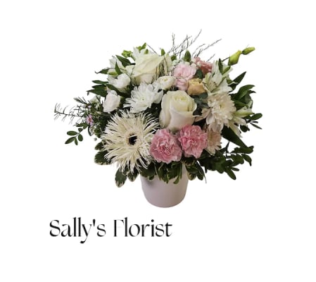 Sally's Sympathy of Harmony