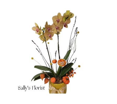 Sally's Fall Orchid 2024