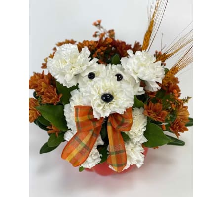 Fall Florist Choice A-dog-able