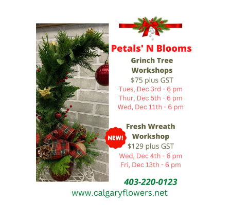 Holiday Workshops