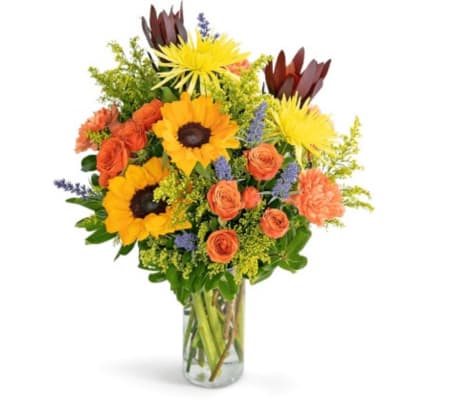 Sending You Splendor