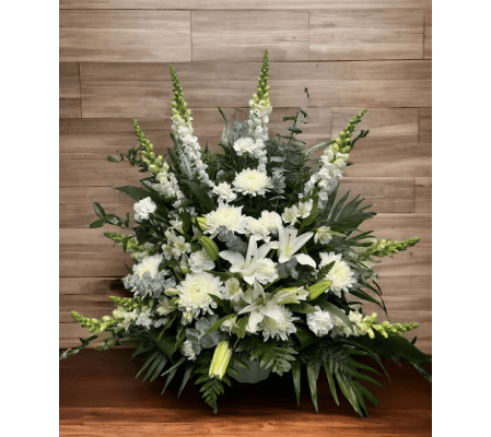 In The Clouds Tribute