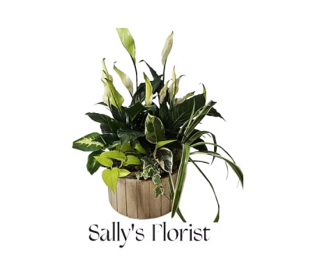 Sally's Peaceful Reflections Planter