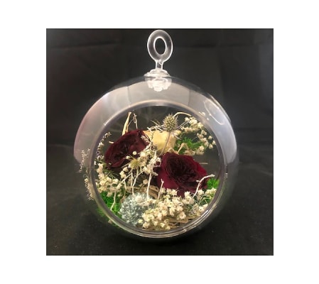 Sally's Preserved Bubble Dream