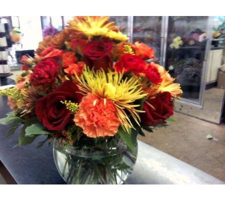 Autumn Radiance Blooms