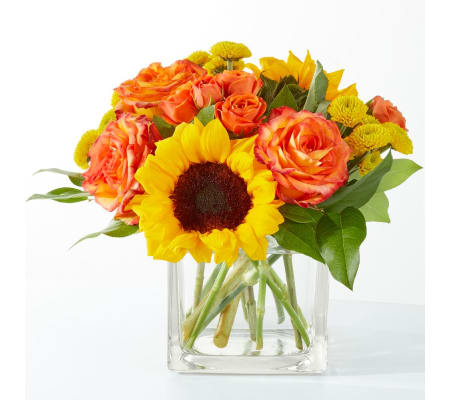 FTD Picnic in the Park