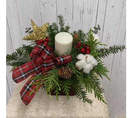 Cozy Christmas (IFC)