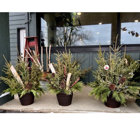 Designers Choice - Outdoor Winter Porch Pot