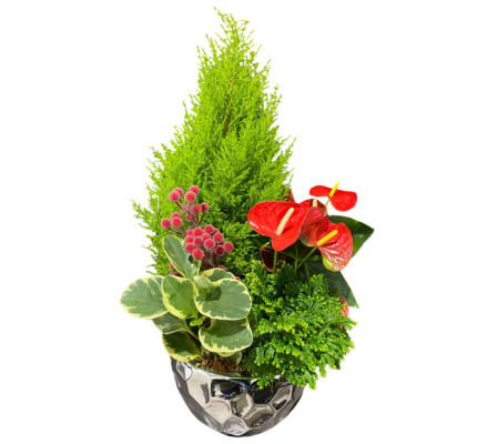 Silver Frost Winter Planter